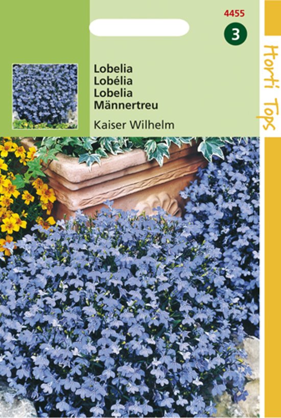 Tuinlobelia Kaiser Wilhelm (Lobelia erinus) 7500 zaden
